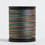 Tiara Variegated Filament Silk Thread #608