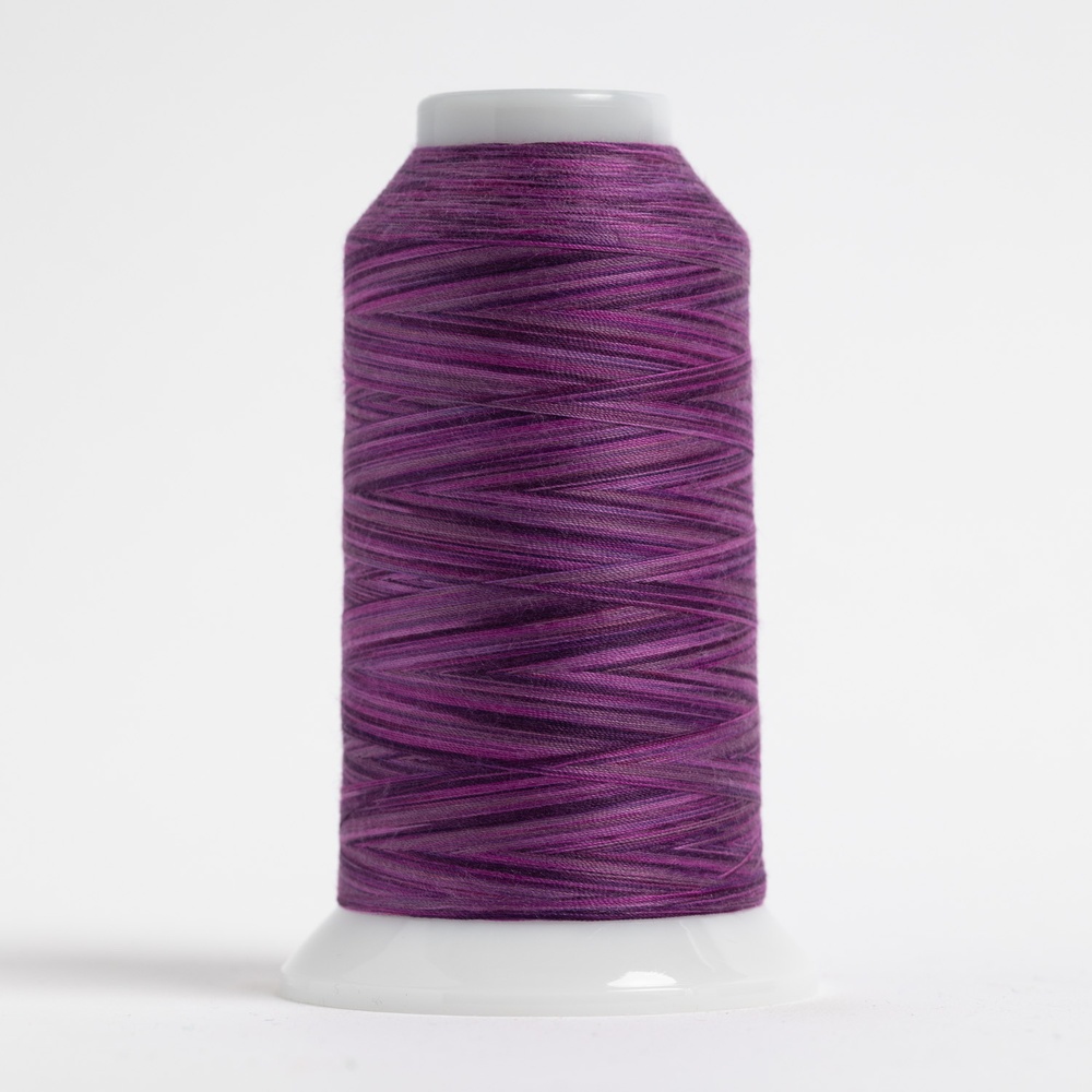 Thread Lead Rhododendron OMNI-V Rhododendron Variegated Polyester Thread