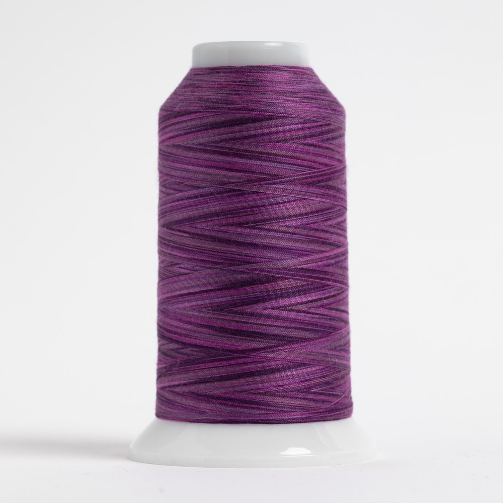 OMNI-V Rhododendron Variegated Polyester Thread