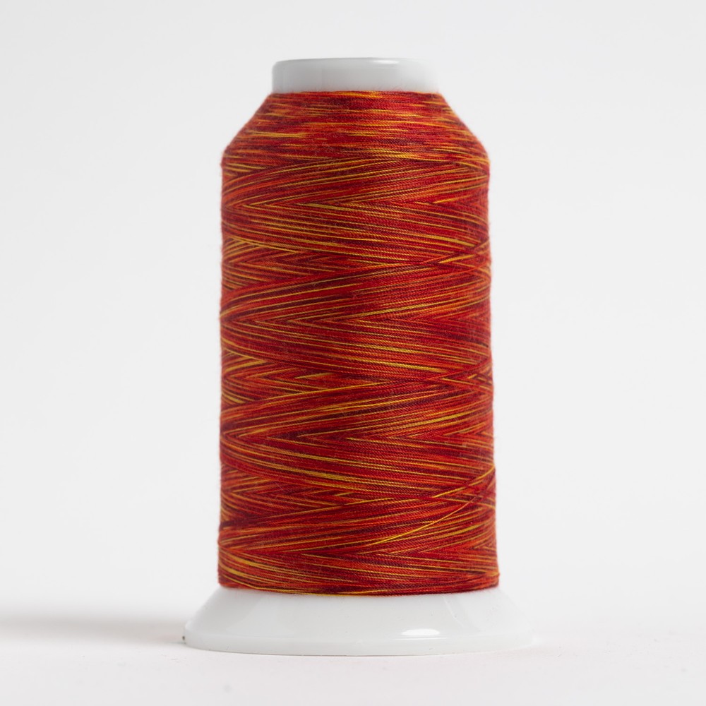 【新品・未開封】Halftone bihlc Oval LogoLongTee OMNI-V Color Card 1 for Polyester Threads